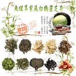 魚腥草紫蘇白鶴靈芝茶 降火氣 生津止渴 代謝 潤喉 調整體質 清潤防護 草本 養生【同規格買五送一/滿額免運】健康維持