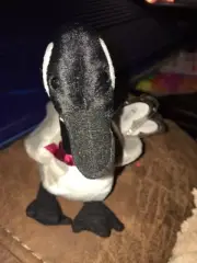 Rare Mint LOOSY THE GOOSE TY Beanie Baby With Gasport Error MINT