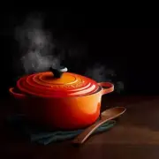 Le Creuset LS2501-262SS Dutch Oven - Orange