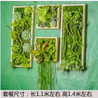 在飛比找樂天市場購物網優惠-~仿真多肉植物壁掛墻壁綠植相框墻面裝飾花背景墻北歐鹿頭廠家直