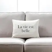 La Vie Est Belle Text On White with Microgel Feather Like Insert Pillow