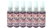 6 BATH & BODY WORKS TRAVEL CHAMPAGNE TOAST ANTI-BACTERIAL HAND SPRAY 1 FL OZ NEW