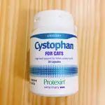 現貨｜代開發票｜PROTEXIN CYSTOPHAN 安泌利 30顆