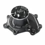 Water Pump Replacement for HYSTER YALE 901096872 4782-15-100C 1368817