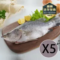 在飛比找momo購物網優惠-【安永鮮凍】台灣金目鱸魚X5(300g/條)