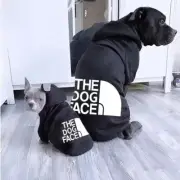 Pet Dog Hoodie Winter Jacket Large Dog Clothes French Bulldog Labrador Outfit