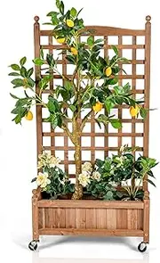 Costway Mobile Plant Raised Bed, Wood Planter with Lattice Trellis and Wheels, Flower Box for Plant Growing, Vertical Garden for Balcony Patio Yard