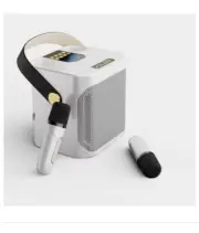 High Power Karaoke Bluetooth Speaker Portable 360 Stereo Surround Waterproof Wir
