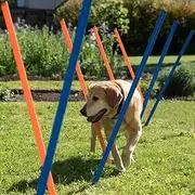 12pcs Dog Agility Equipment Pet Weave Pole Puppy Interactive Toys Dog Exercise Training Adjustable with Carrying Case