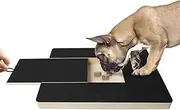 Dog Nail Scratch Board, Dog Nail Board Scratch Pad with Built-in Snack Box, Pet Nail Scratch Board File, Dog Nail Paw Scratch Pad for Small and Medium Dogs (Nail Scraper)