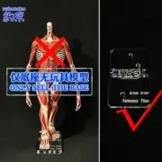 Acrylic Base for GSC POP UP ARMIN ARLERT Attack on Titan L size Model Chassis