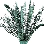 Eucalyptus Stems 16Pcs Dried Eucalyptus-Branches 17" Plant Real Bunch for Vase Filler, Dried Flowers Arrangement, Floral Home Decor-