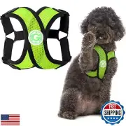 Gooby Comfort X Step in Harness - Green, X-Large - No Pull Small Dog Harness