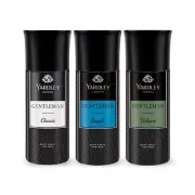 Yardley London Gentleman Range Deo Body Spray Tripack For Man 150 ml Each