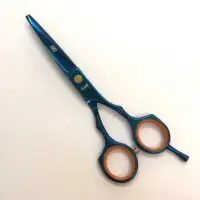 在飛比找蝦皮購物優惠-[沐沐屋]日本 KAI 火匠 6寸美髮剪刀 劉海剪 藍色美髮