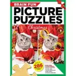 BRAIN FUN PICTURE PUZZLES: CHRISTMAS