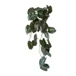 [James Lane] Anthurium Vine Hanging Plant - 32 x 30 x 90cm