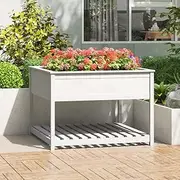 Raised Garden Bed, Elevated Planter Box Plant Container with Shelf White 111.5x111.5x81 cm Solid Wood Pine