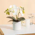 Potted Artificial Orchid Home Decor Fake Plant Indoor Flowers Plastic 7x7x28cm