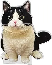 Générique Bobblehead Cat, Cute Dashboard Ornaments, Acrylic Car Decorations, Acrylic Animal Shaking Head Decoration Cute Bobblehead Cat Ornament for Car Dashboard, Desktop Decor and Present