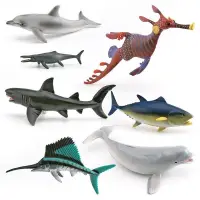 在飛比找蝦皮購物優惠-♚樂樂屋♚仿真海洋動物模型白鯨海豚泰曼魚龍草海龍小旗魚兒童認