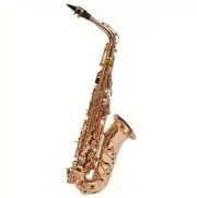F.E. OLDS Alto Saxophone NAS110WC Gold Lacquer Keys NEW