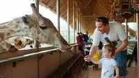 在飛比找雄獅旅遊優惠-泰國-曼谷塞福瑞野生動物園門票 Safari World T