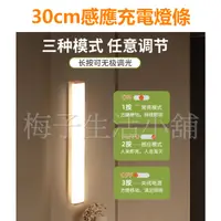 在飛比找蝦皮購物優惠-LED感應燈【現貨】30cm燈條 充電式 人體感應 LED燈