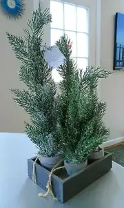 Pier 1 Faux Frosted Pine Table Top Topiary Set of 4 with Tray