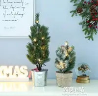 在飛比找樂天市場購物網優惠-聖誕樹盆栽桌面擺件夜燈裝飾迷妳鬆針雪鬆樹飾品家用場景布置創意