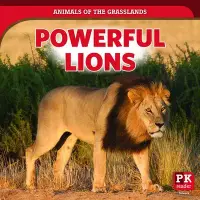 在飛比找博客來優惠-Powerful Lions