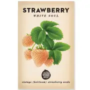 The Little Veggie Patch Co Strawberry Heirloom Seeds