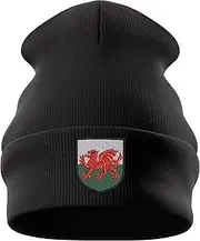 [Purple Print House] Embroidered Wales Badge Beanie Hat Men Women Rugby Welsh Supporters Cymru Nations Winter