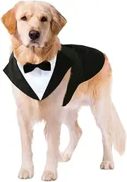 Kuoser Dog Tuxedo Suit and Bandana Set, Formal Wedding Attire for Large and Medium Dogs - Golden Retriever, Samo Bulldogs