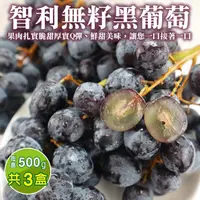 在飛比找PChome24h購物優惠-【WANG蔬果】智利空運黑無籽葡萄(3盒_500g/盒)