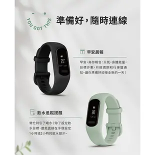 GARMIN Vivosmart 5 健康心率手環 (Vivosmart5)