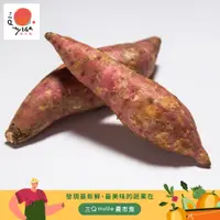 在飛比找蝦皮購物優惠-台中新社 自產自銷 台農66號紅心地瓜【三Q mylife農