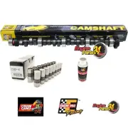 HOLDEN V8 308 304 EFI 5.0L COMMODORE VN VP VR VS MILD STAGE 2 CAM & LIFTER KIT