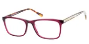 Radley RDO 6010 161 Men's Glasses Purple Size 53 - Private Health Rebate - Blue Light Block Available