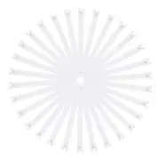 30Pcs 12 Inch #3 Nylon Coil Zippers for Sewing, Supplies Zippers Bulk, White