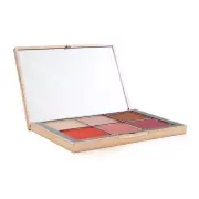 NARS Afterglow Cheek Palette (6x Blush) 6x4g/0.14oz