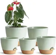 Indoor Plant Pots With Drainage Holes and Saucers Planting Pots for All HousePlants Green Plastic Flower Pots with Drainage Hole Self Watering Plant Pot Gift Idea For Home Decor Succulent Pots