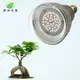 君沛 植物燈 15瓦 全光譜燈泡 E27植物燈泡 多肉植物燈 觀葉植物燈 塊根植物燈 (9.5折)
