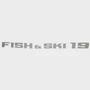 Lowe Boat Decal 2354064 | Fish and Ski 19 Metallic Silver 20 1/2 Inch
