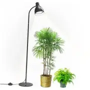 Grow Light with Stand, 5000K Full Spectrum Plant Light for Indoor Plants, 25W
