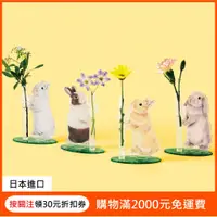 在飛比找蝦皮購物優惠-現貨 You+More 日本製 兔子插花裝飾立牌 Felis