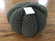 POTTERY BARN Seedstitch Pumpkin Shaped Pillow~LODEN-NEW W/ TAGS new