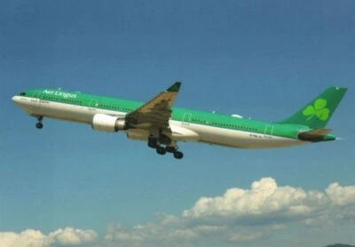 Aer Lingus Airbus A330-300 EI-FNG @ Faro 2022 - postcard