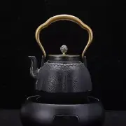 Cast Iron Kettle Chinese Tea Pot Iron Teapot for Office Living Room Tea Room