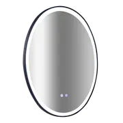 Oval Mirror LED Anti-Fog Illuminated Bathroom Living Room